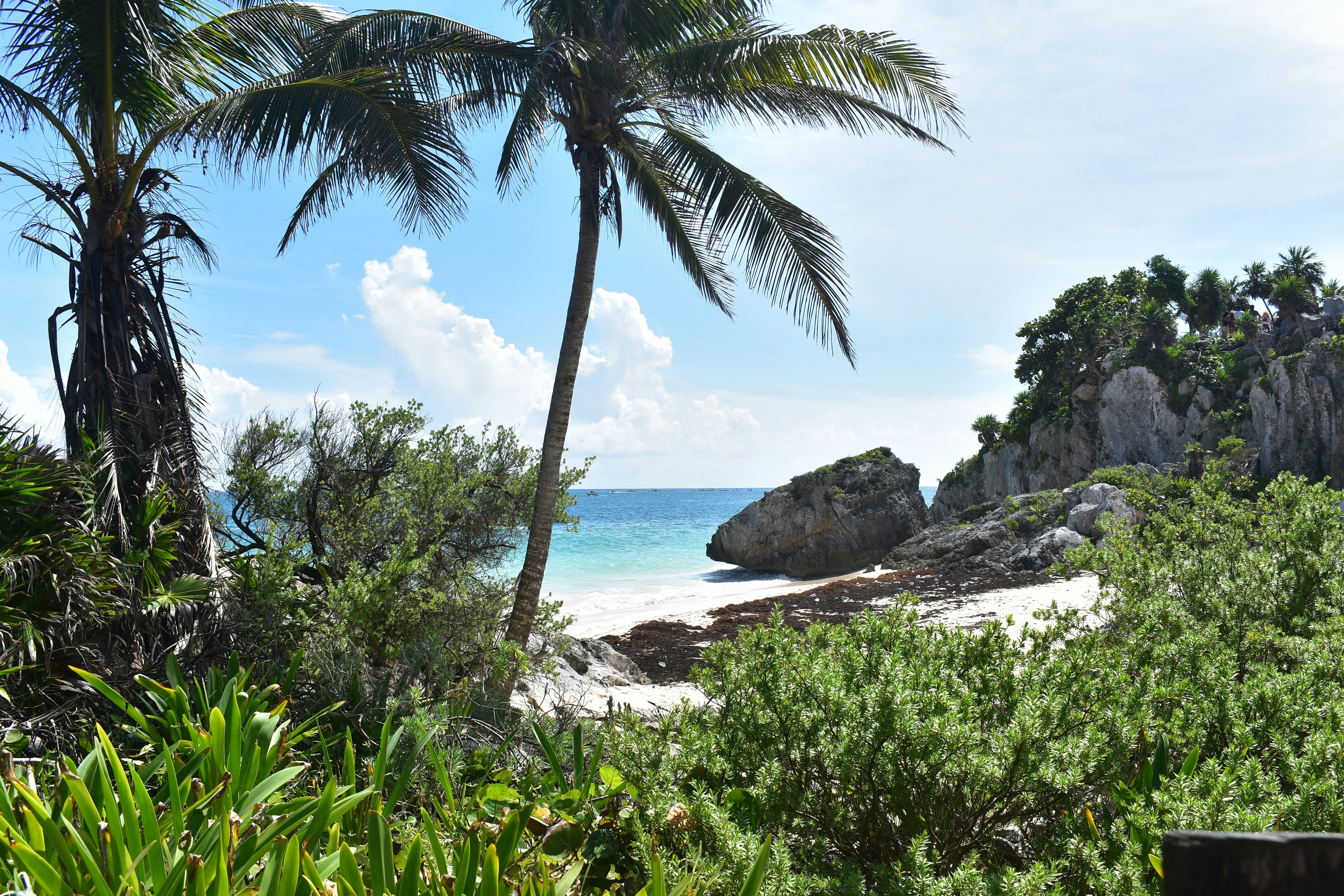 Caribbean Breeze Print