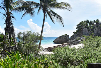A bright watercolor painting of a tropical beach scene with palm trees and turquoise waves.
