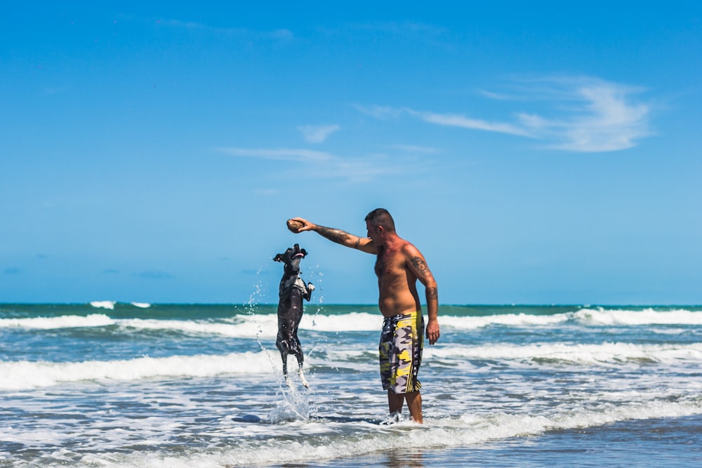 a man and a dog playing with a frisbee on the beach