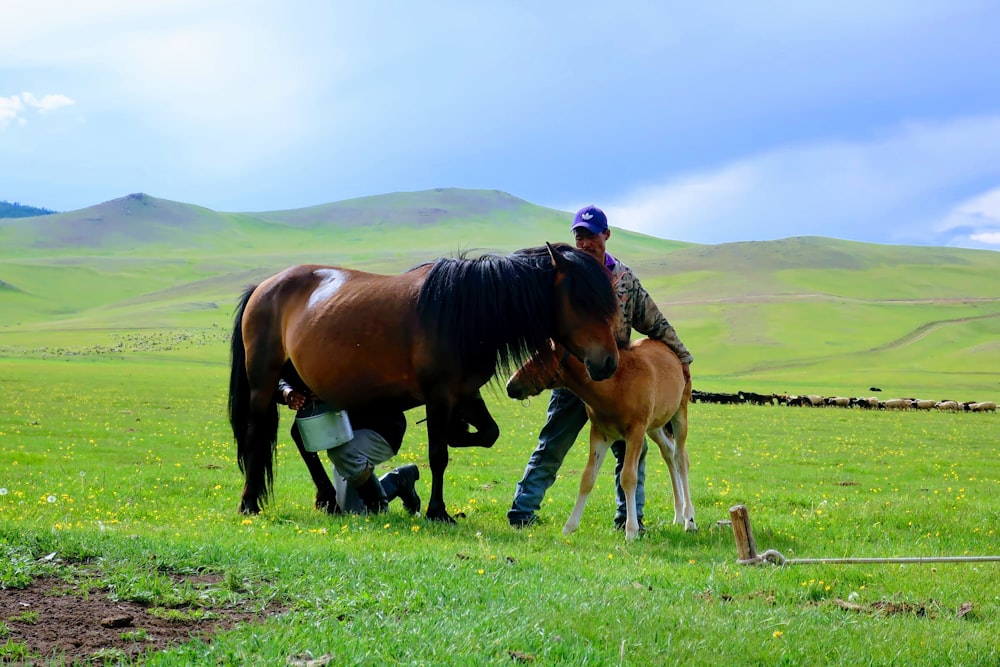 a man standing next to a horse on a lush green field