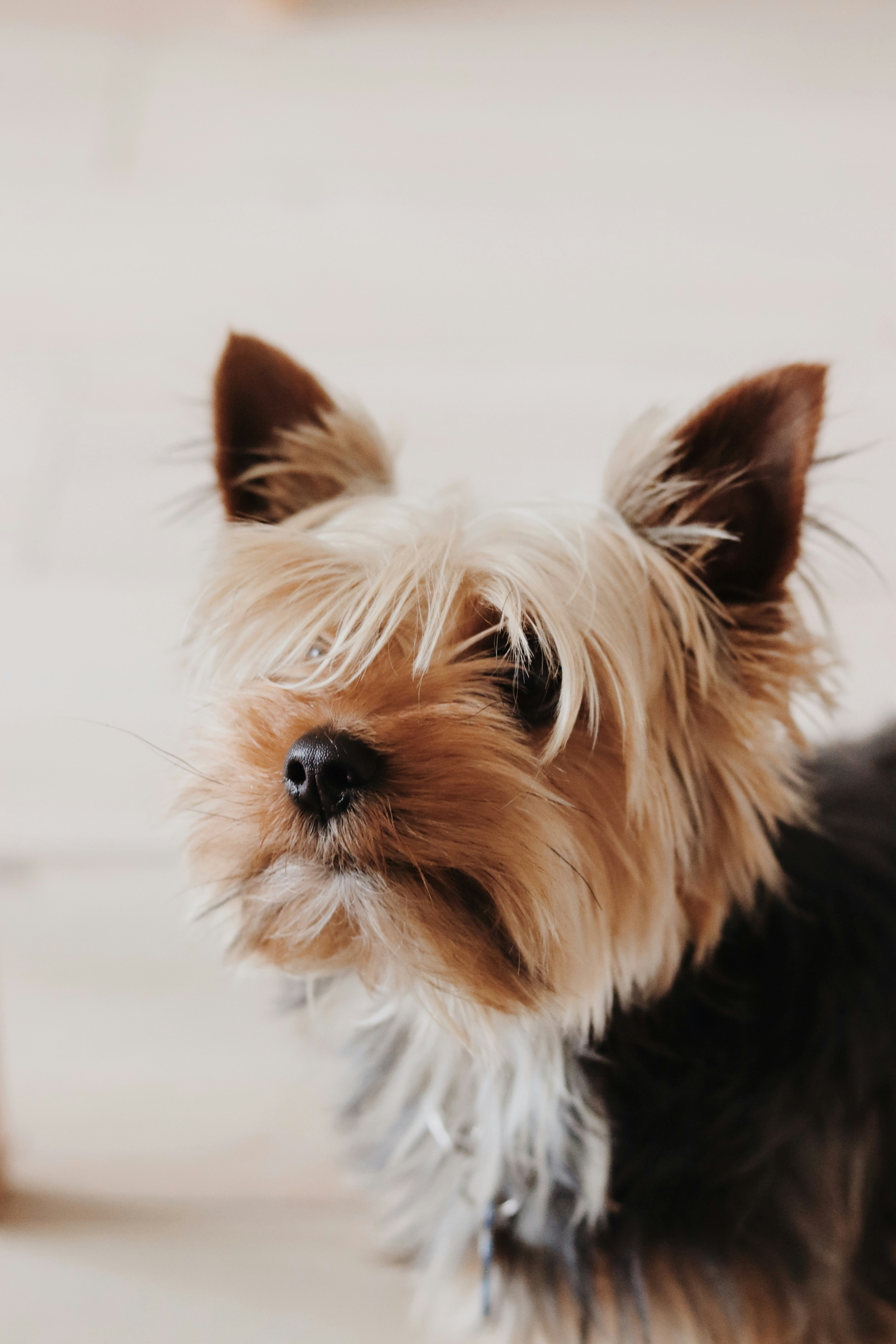 Photo by sanperalesr