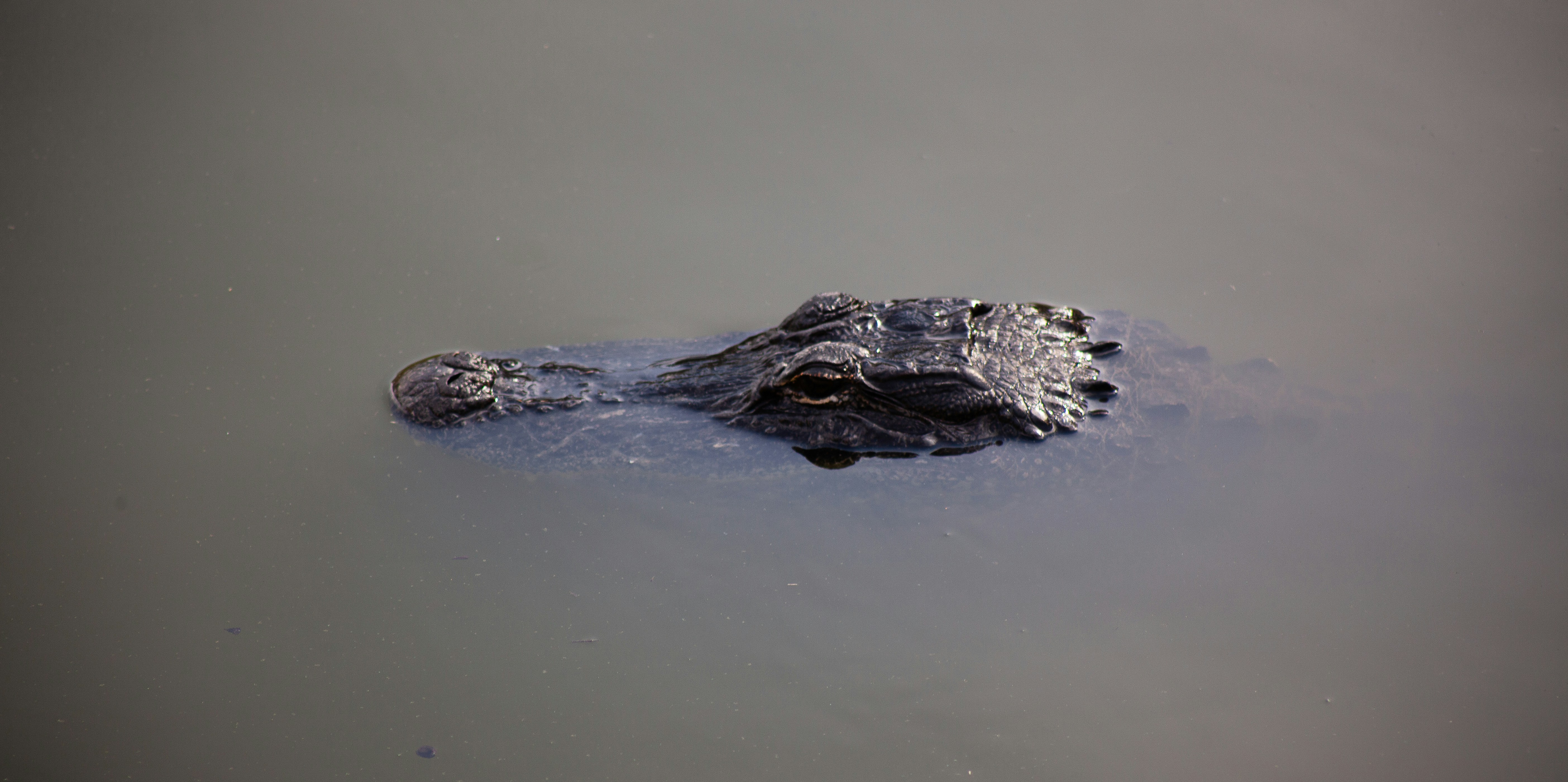 Photo by backroadpackers