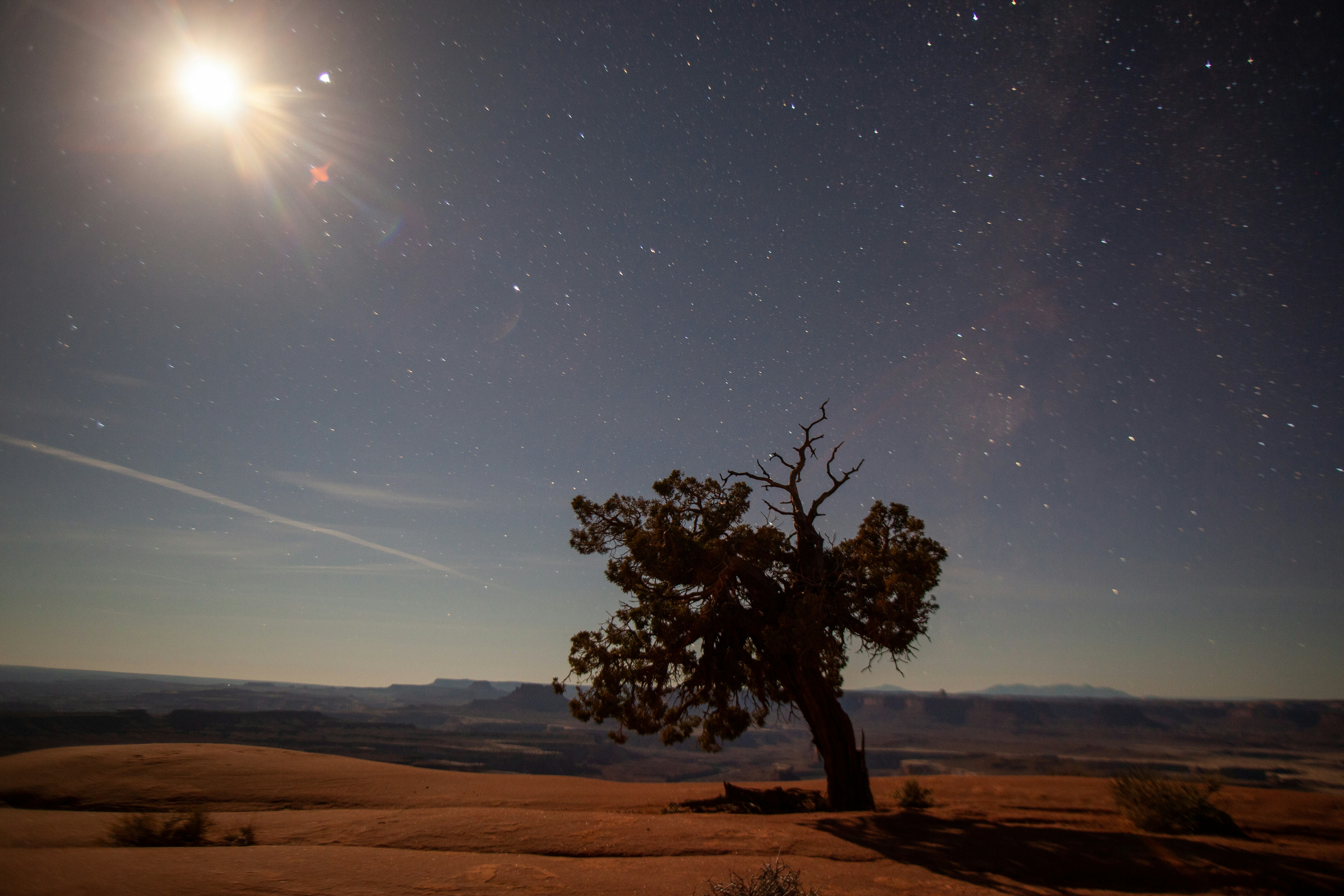 a lone tree in the middle of a desert at night