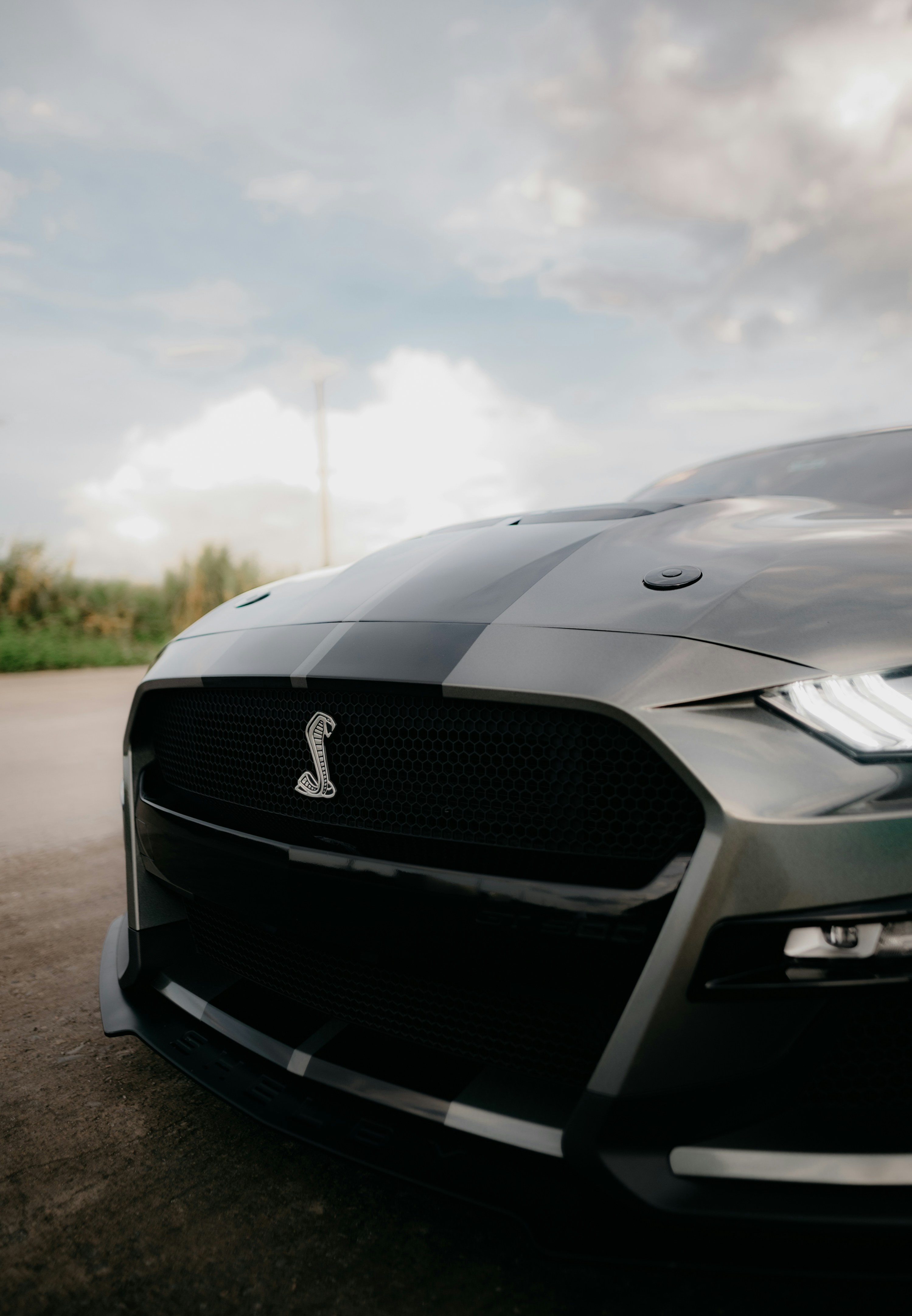 Photo by realxroland