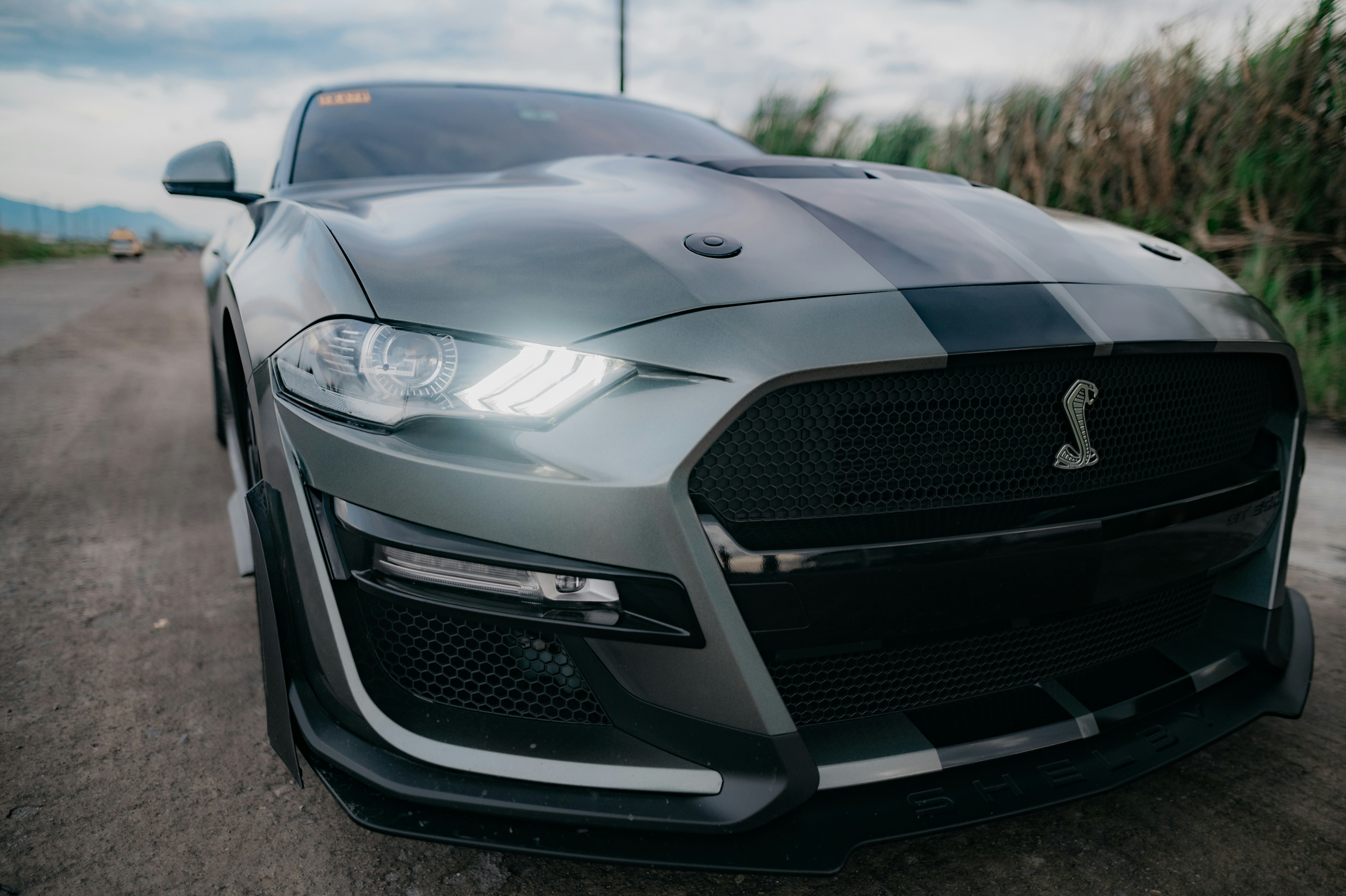 Photo by realxroland