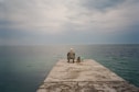 a man sitting on a pier next to a dog