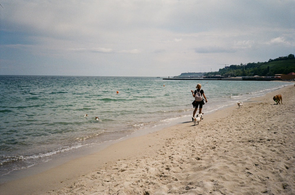 犬と一緒にビーチを歩いている人