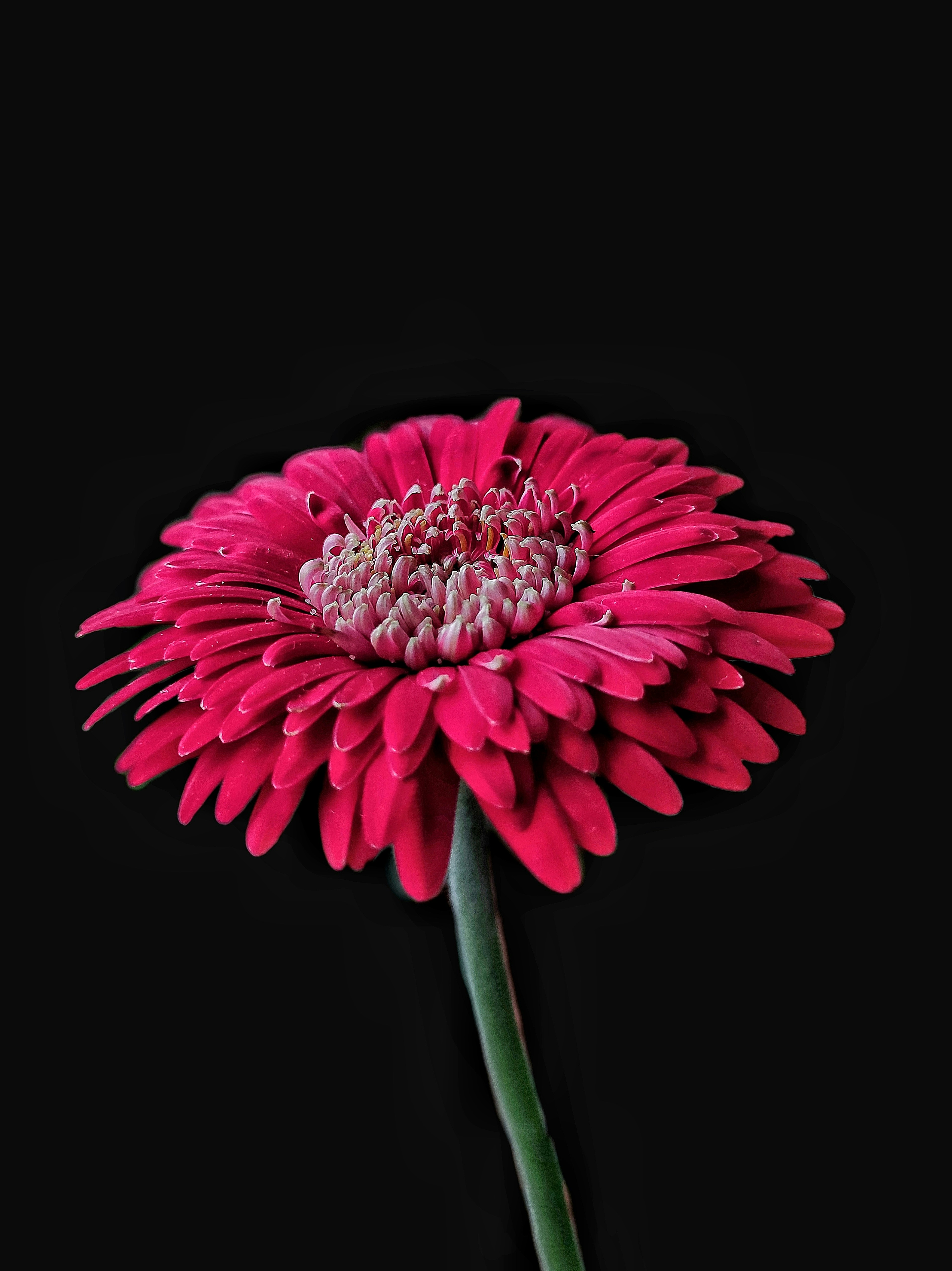 Photo by picturesque_yash