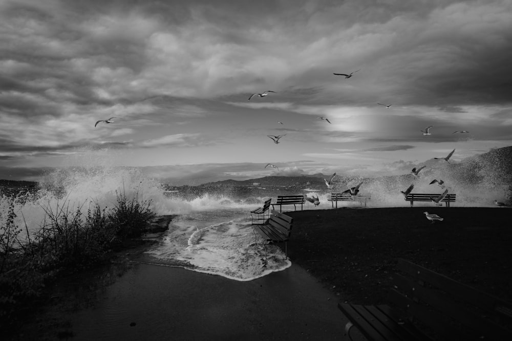 a bunch of birds flying over a body of water