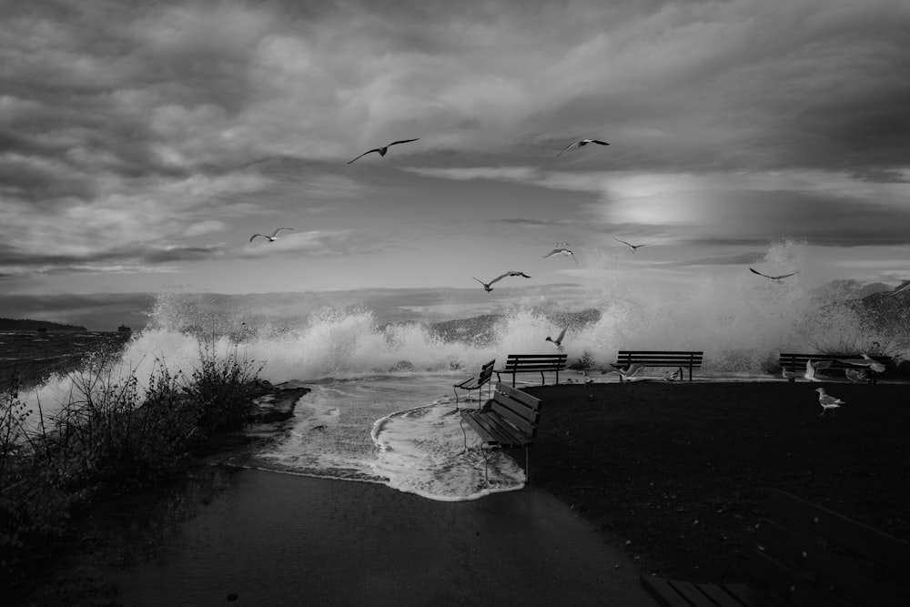 a black and white photo of birds flying over the ocean