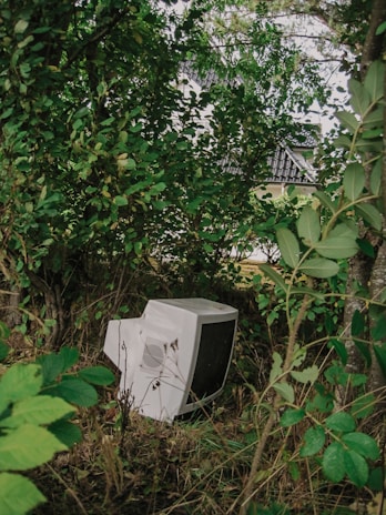 A team of people sorting and recycling old computers in a bright workshop filled with greenery.