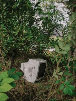 An old CRT monitor is discarded amongst dense greenery and trees, with a glimpse of a house roof in the background. The foliage is lush, with leaves of varying shades of green, creating a natural, overgrown setting.