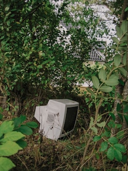 An old CRT monitor is discarded amongst dense greenery and trees, with a glimpse of a house roof in the background. The foliage is lush, with leaves of varying shades of green, creating a natural, overgrown setting.