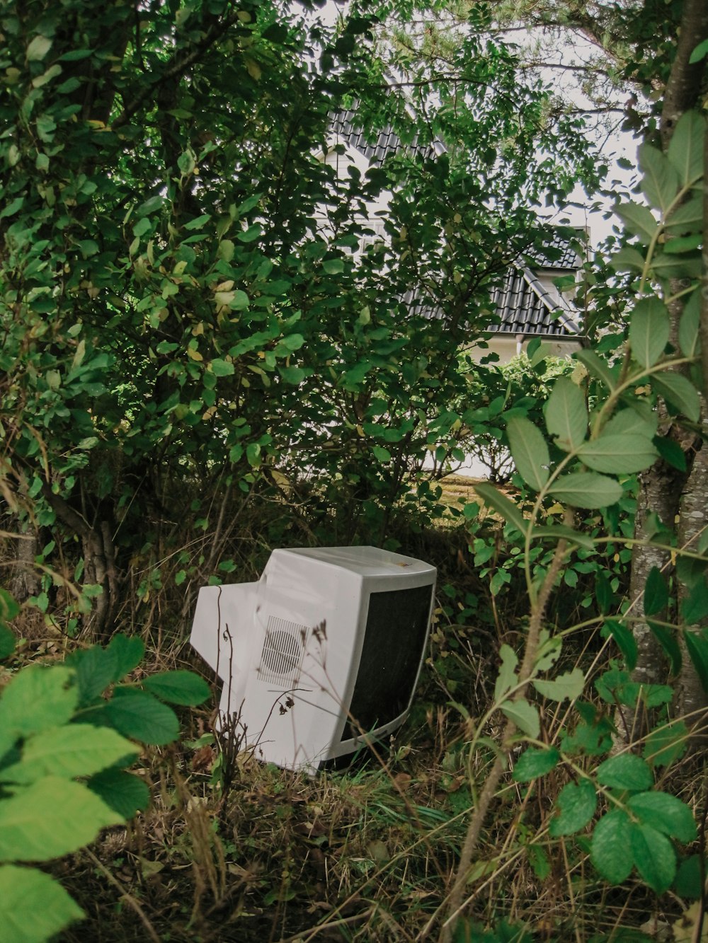 an old tv sitting in the middle of a forest