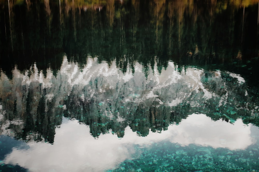 a reflection of a forest in the water