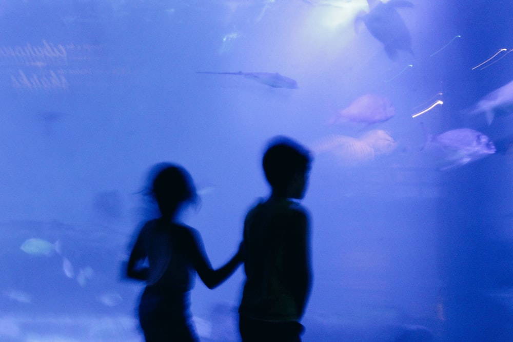 a couple of people standing in front of a fish tank