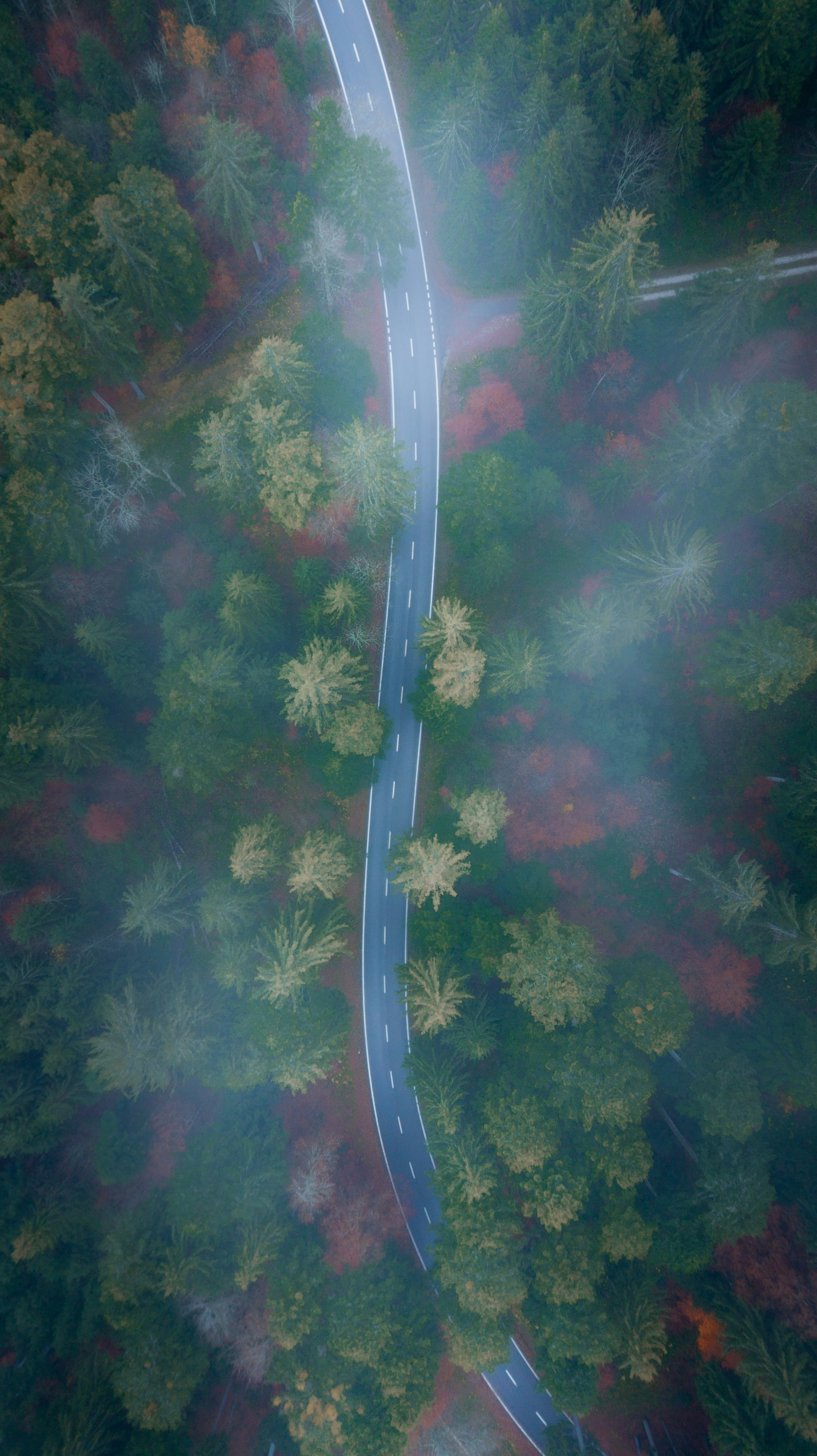 Photo by benaja_photos