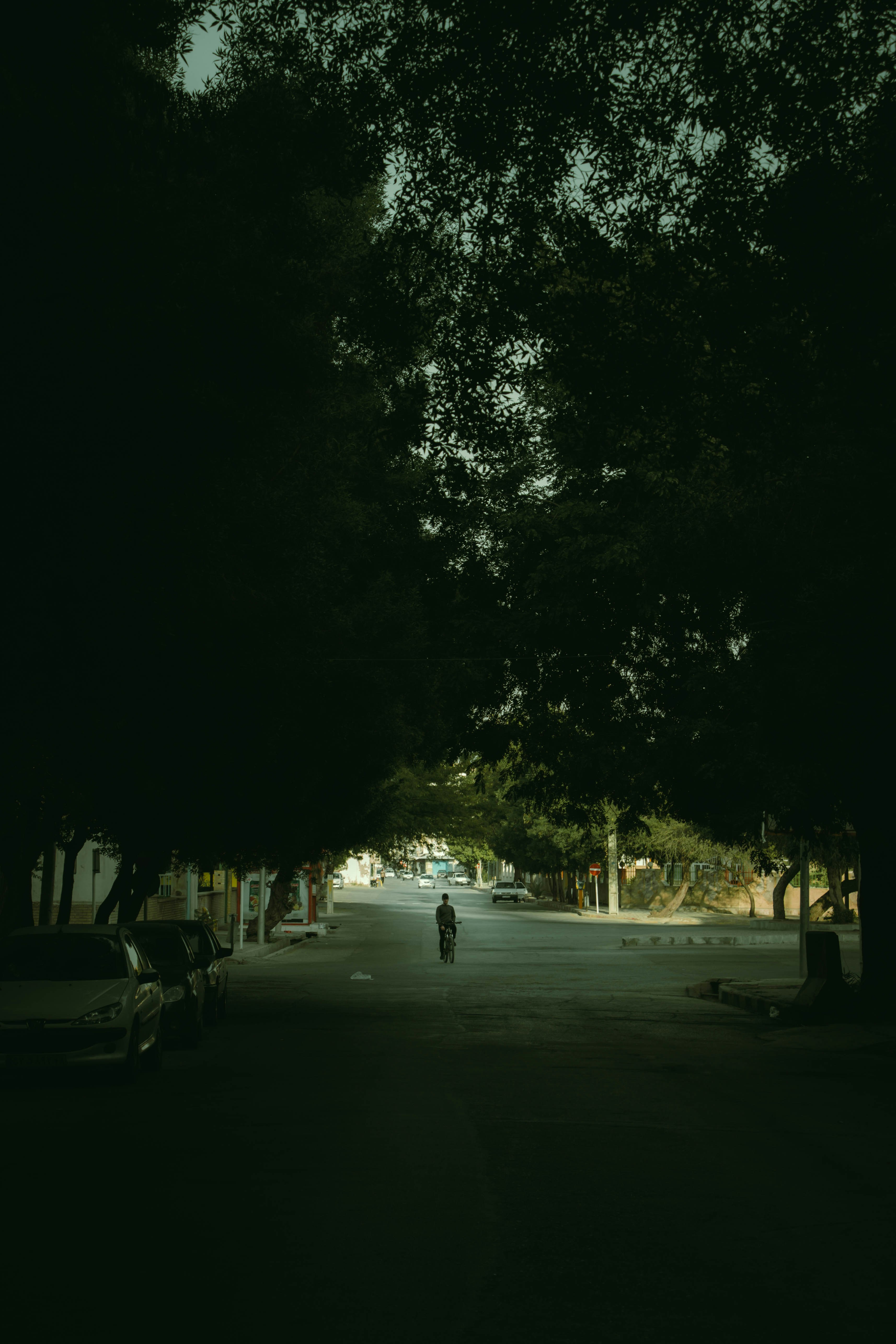 Photo by a4mir