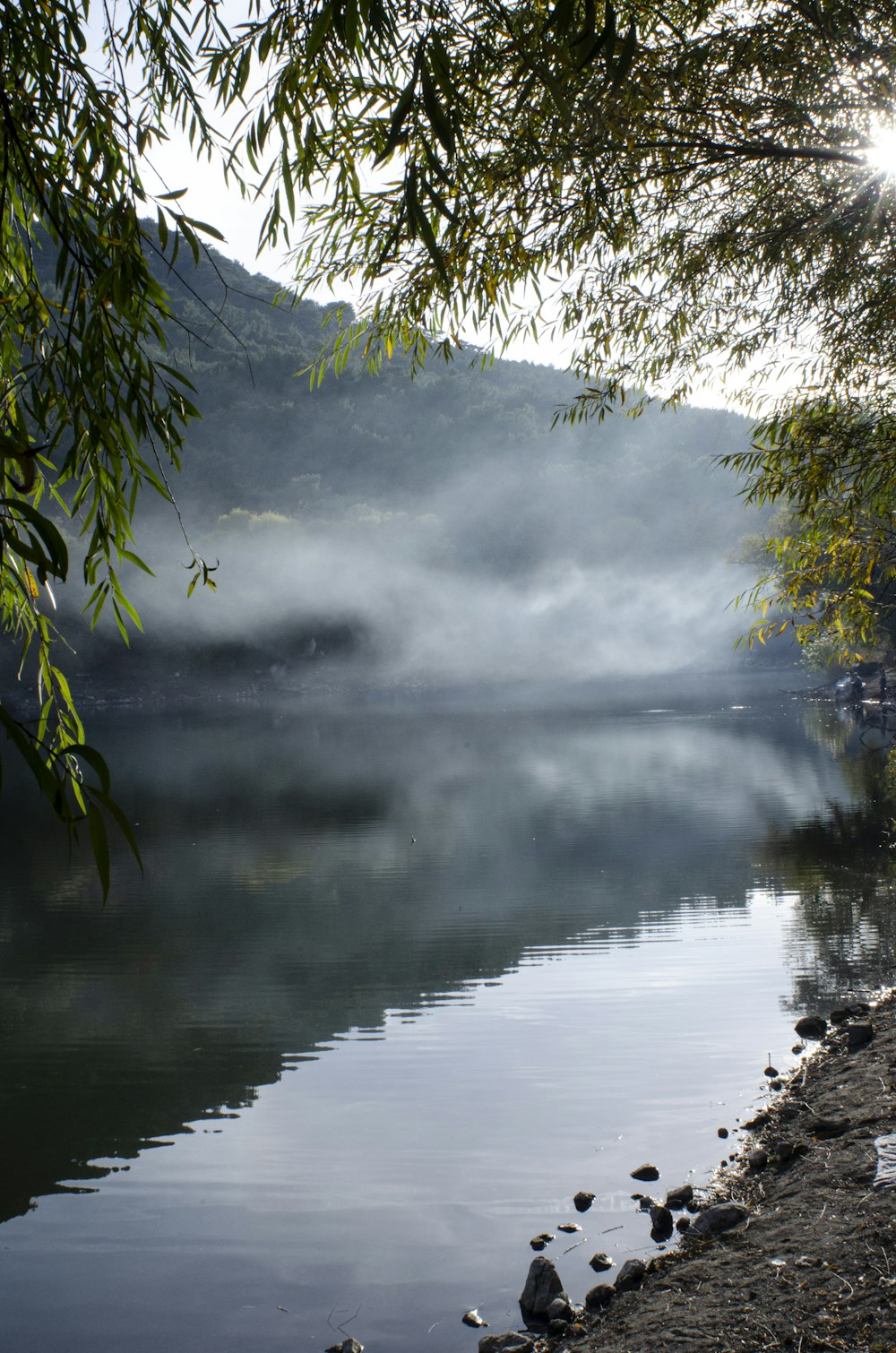 a body of water surrounded by trees and rocks