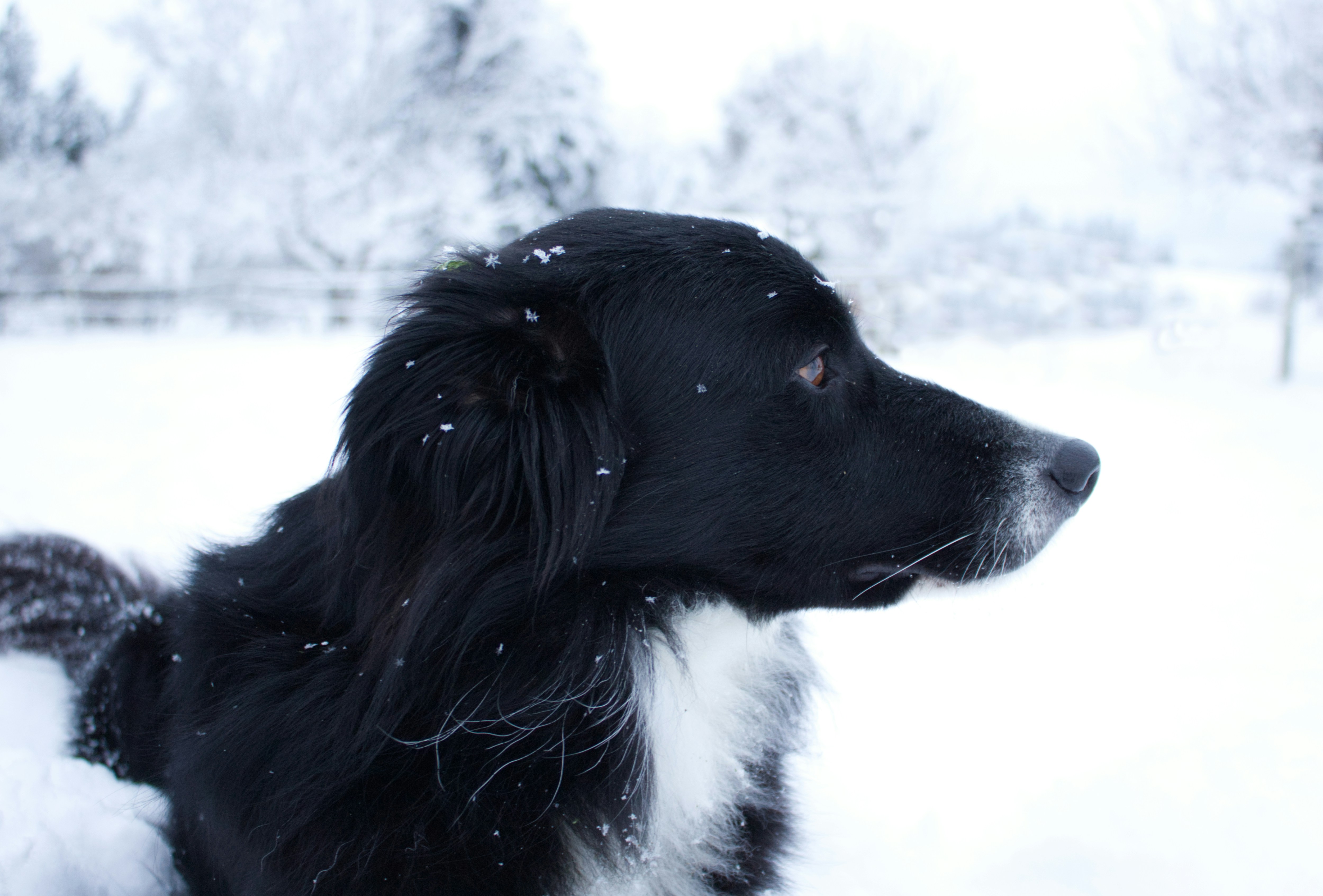 Photo by frozenmoments