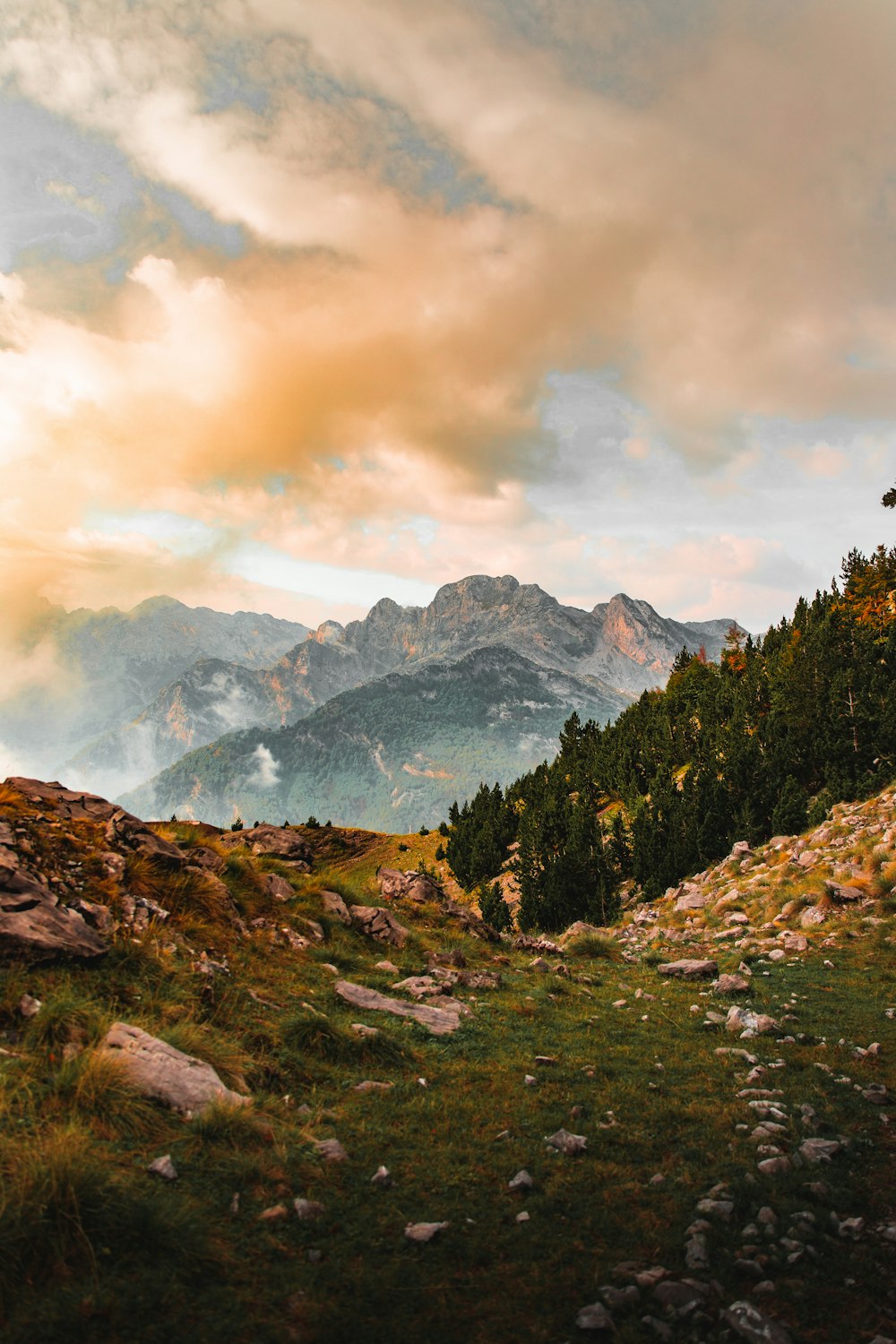 a grassy field with a mountain in the background