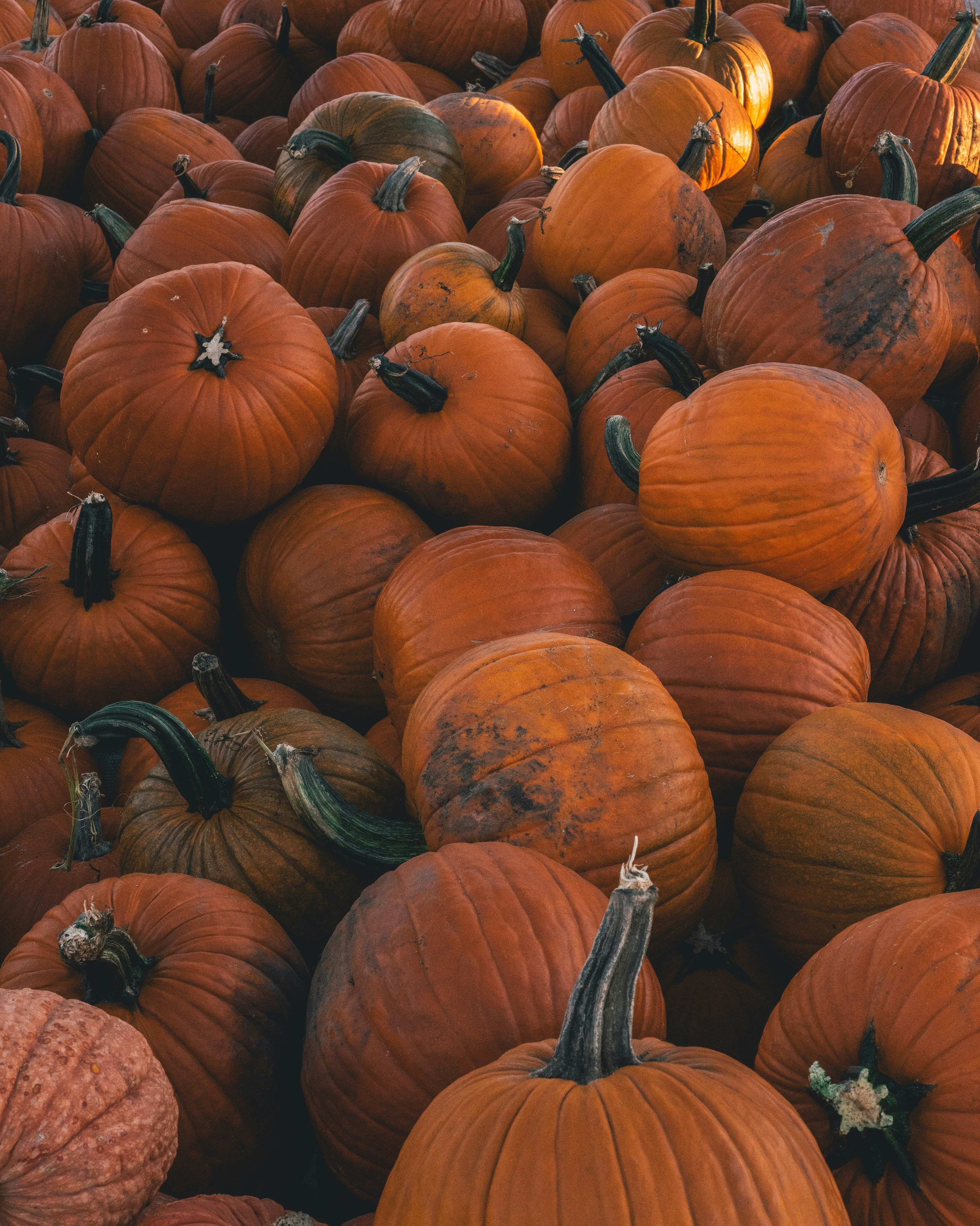 Photo by nomadicfitlust