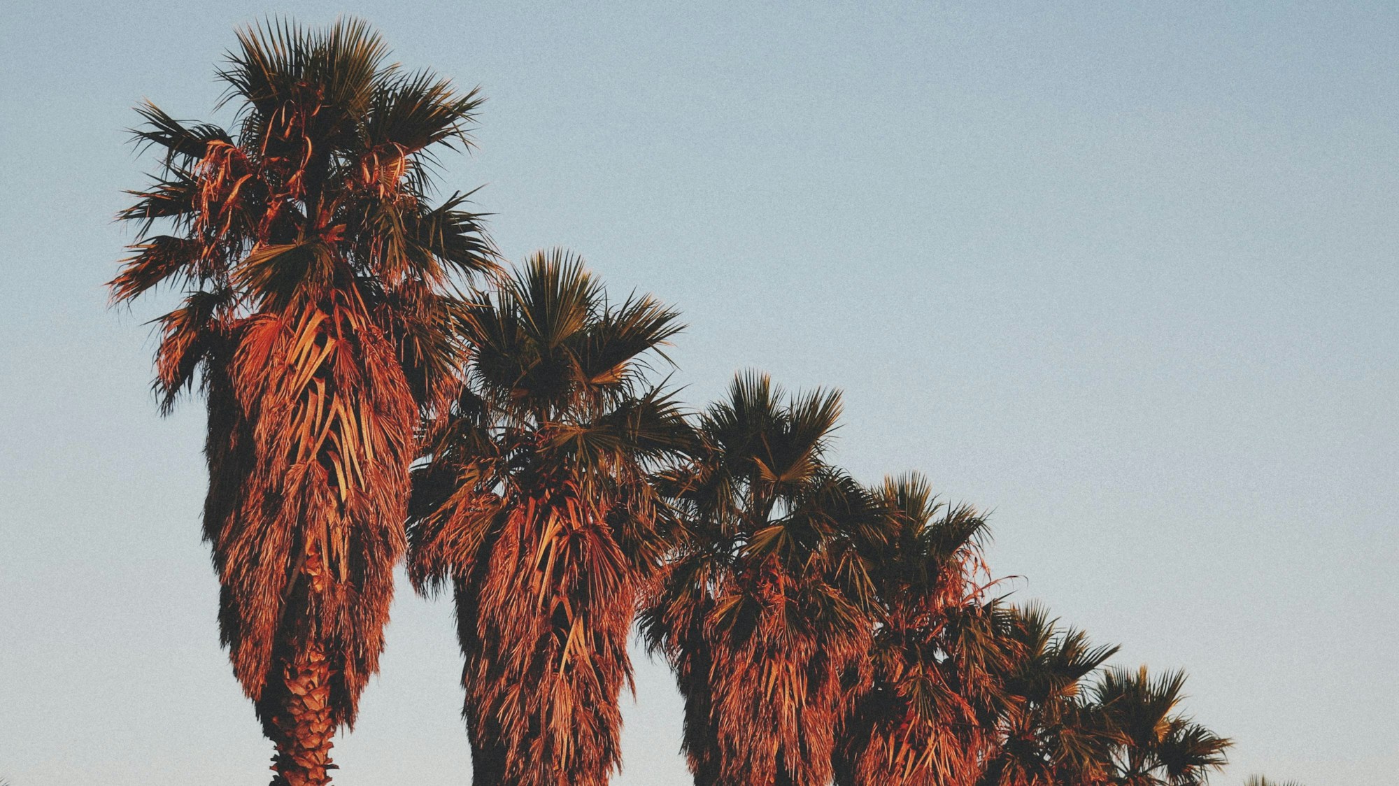 Perpignan: Discover Local Culture & Traditions