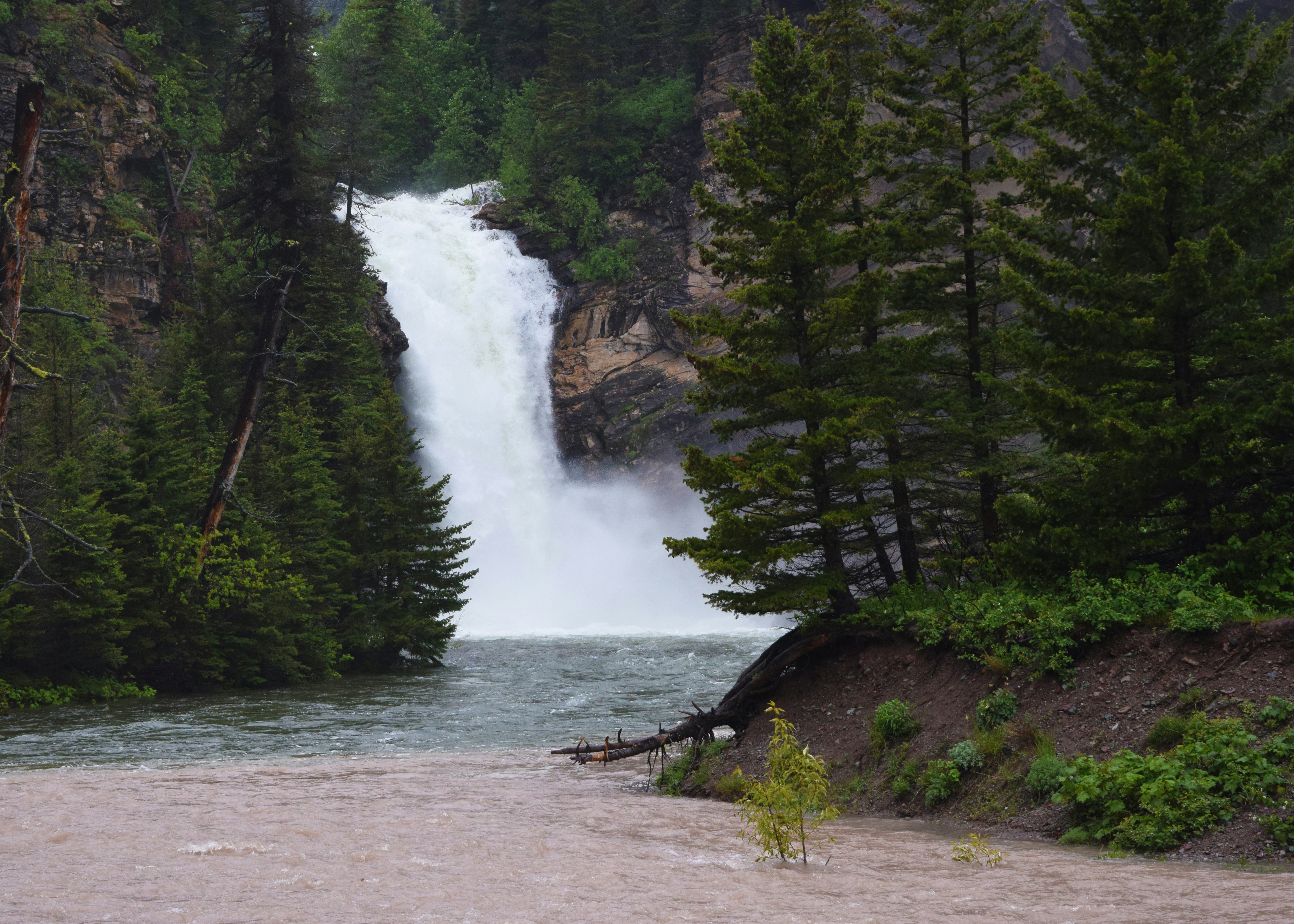 Photo by waynebartosh