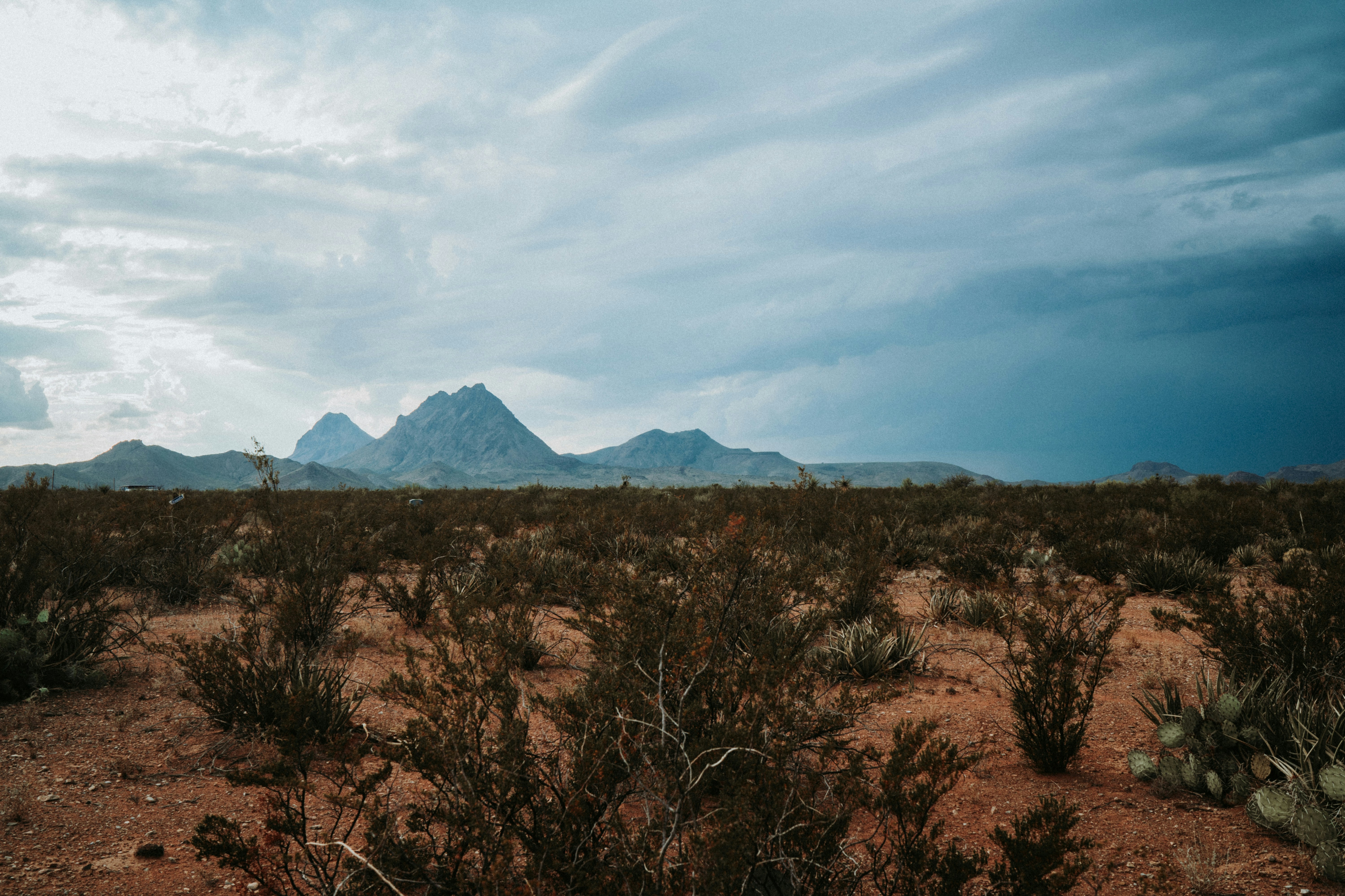 Photo by brittaniburns