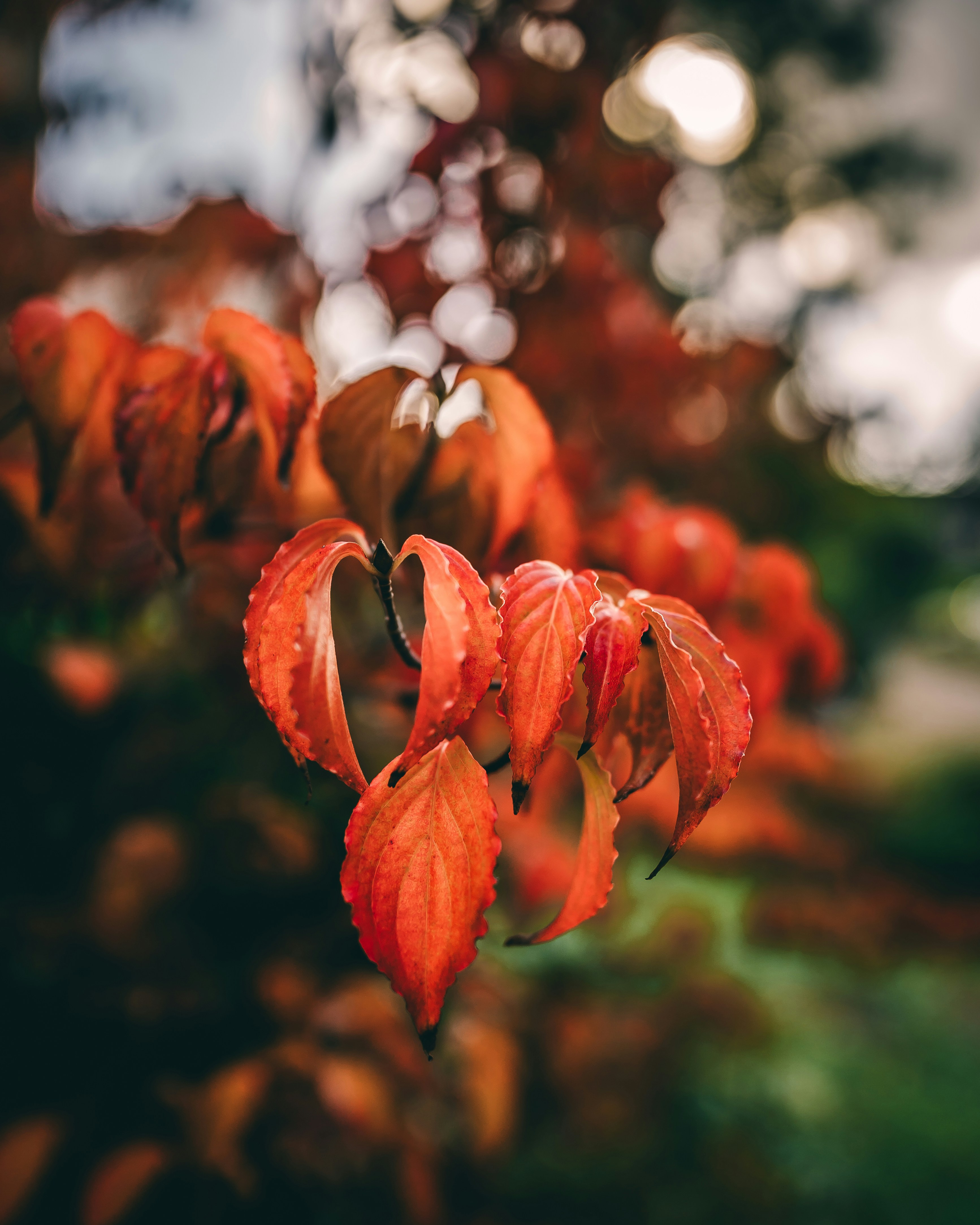 Photo by sinusfiction