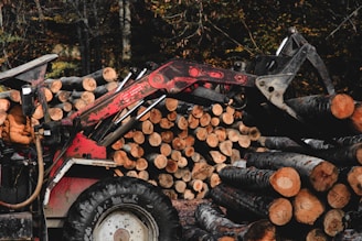 A red tractor equipped with a grabber attachment is actively handling a stack of freshly cut logs, set against a backdrop of dense forest. Numerous logs, neatly arranged in piles, dominate the background, while the forest provides a dark, natural environment.