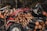 A red tractor equipped with a grabber attachment is actively handling a stack of freshly cut logs, set against a backdrop of dense forest. Numerous logs, neatly arranged in piles, dominate the background, while the forest provides a dark, natural environment.