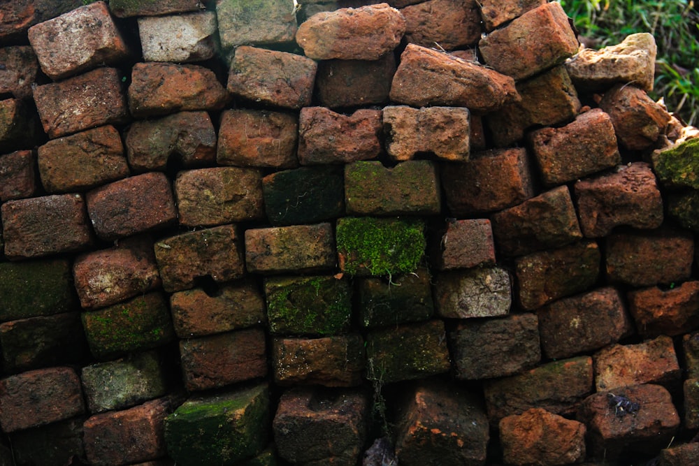 a pile of rocks with moss growing on them