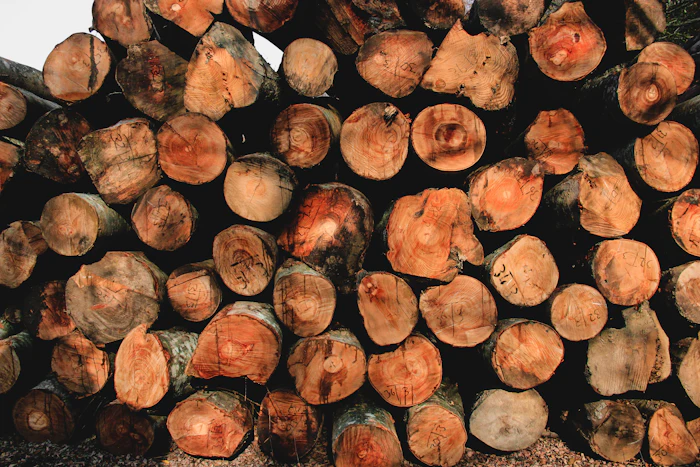 A neat pile of freshly cut logs on the ground after a tree removal.