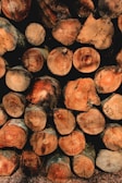 A stack of cut logs, neatly arranged in rows. The cross sections of the logs display rich wood grain patterns and varied shades of brown and tan. Some logs have visible markings or numbers written on them, suggesting they may be cataloged for identification.