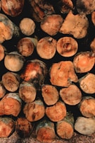 A stack of cut logs, neatly arranged in rows. The cross sections of the logs display rich wood grain patterns and varied shades of brown and tan. Some logs have visible markings or numbers written on them, suggesting they may be cataloged for identification.