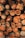 A stack of cut logs, neatly arranged in rows. The cross sections of the logs display rich wood grain patterns and varied shades of brown and tan. Some logs have visible markings or numbers written on them, suggesting they may be cataloged for identification.
