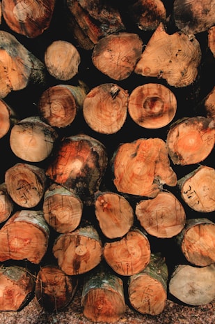 A stack of cut logs, neatly arranged in rows. The cross sections of the logs display rich wood grain patterns and varied shades of brown and tan. Some logs have visible markings or numbers written on them, suggesting they may be cataloged for identification.