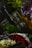 A bouquet comprising vibrant red roses, pale pink lilies, and small purple flowers, complemented by lush green leaves. The composition is artfully arranged against a dark background, creating a striking contrast and highlighting the rich colors of the flowers.