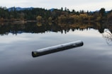 a log floating in the middle of a lake