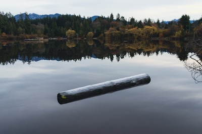 a log floating in the middle of a lake
