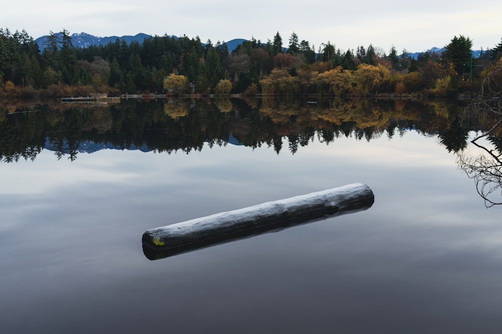 a log floating in the middle of a lake