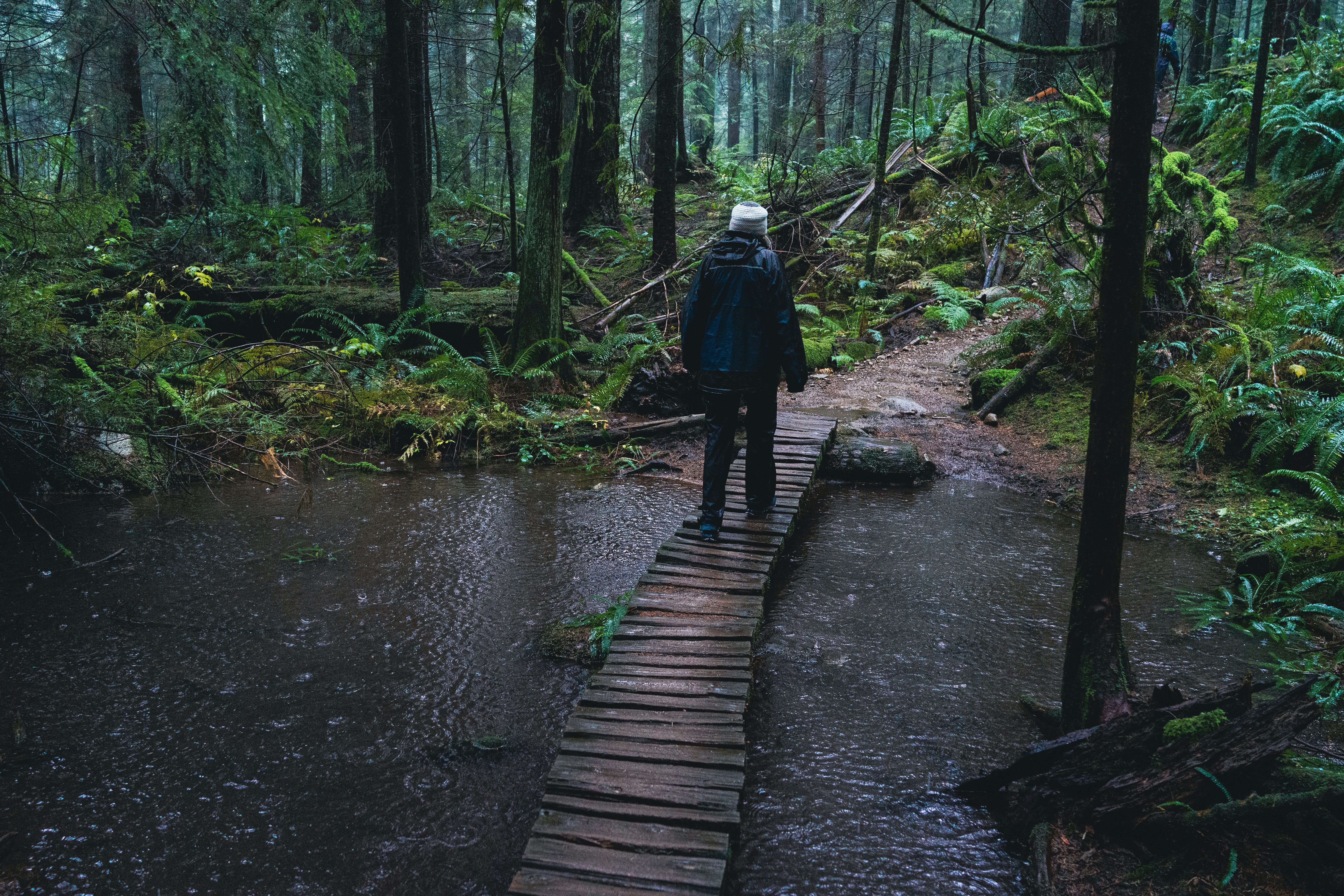 Photo by galen_crout