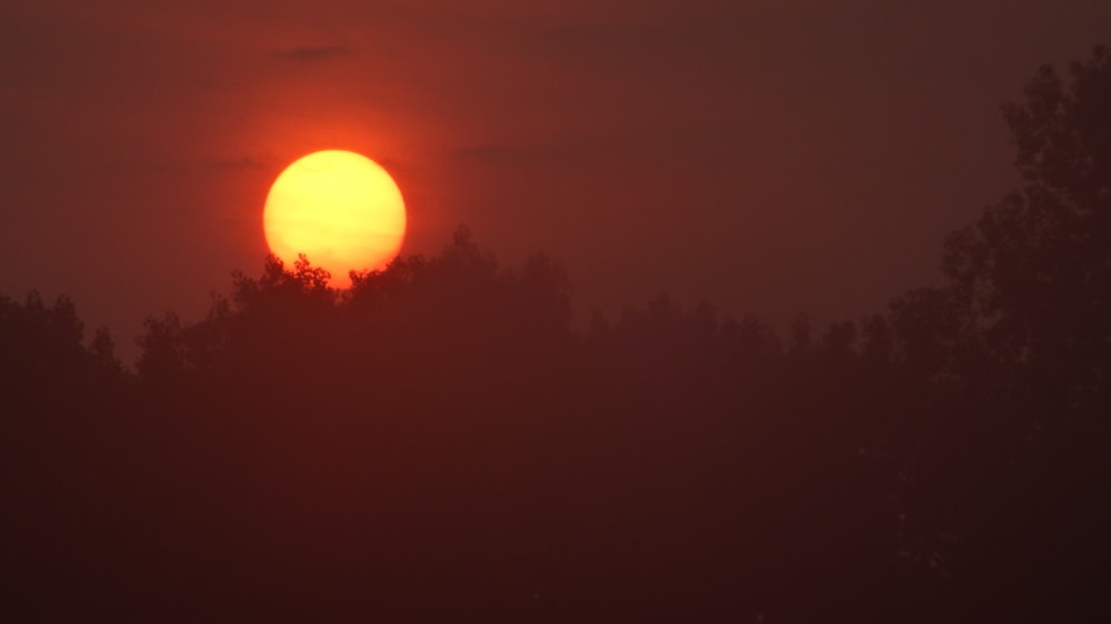 the sun is setting over the trees on a foggy day