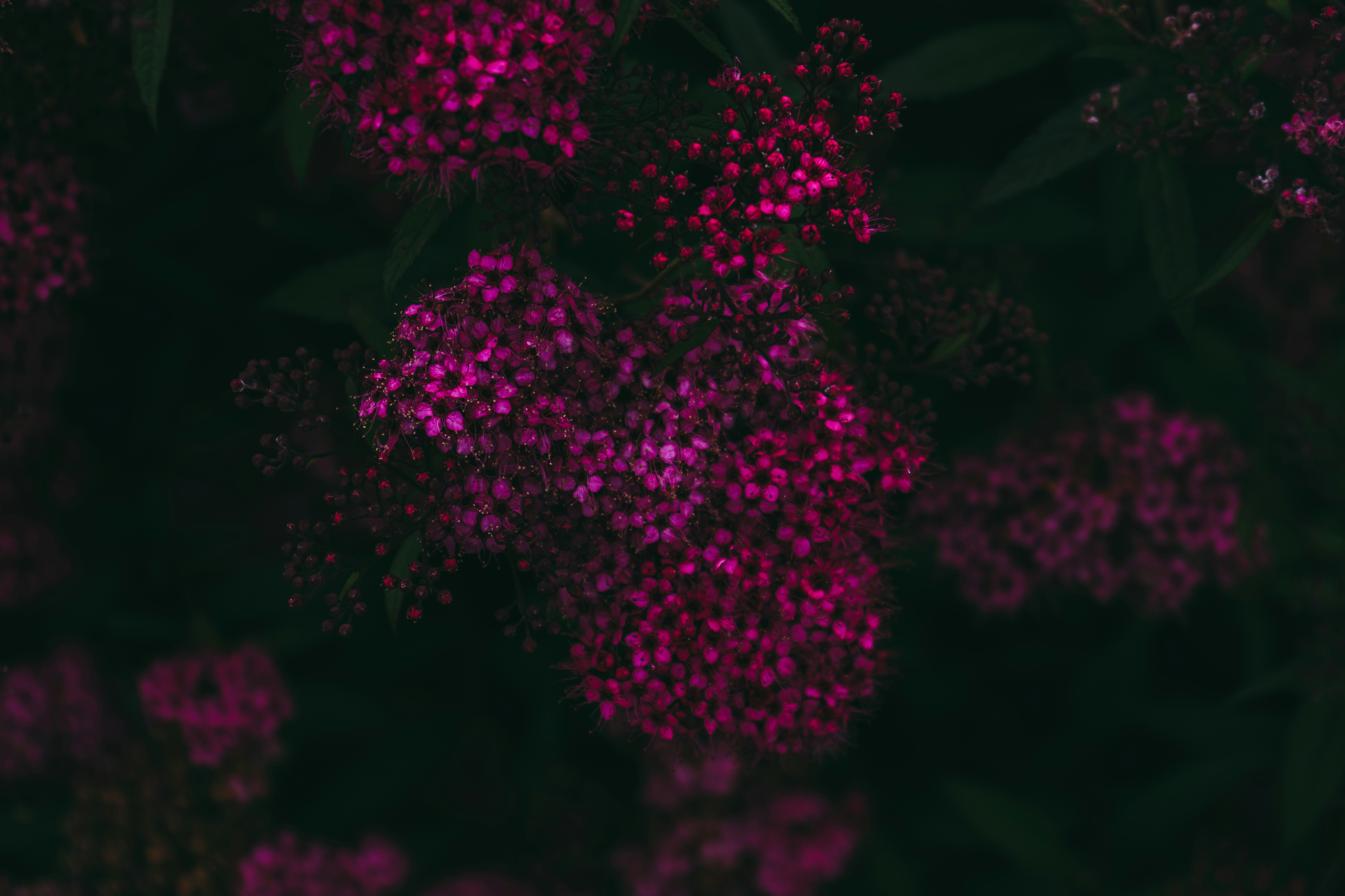 Photo by virussinside