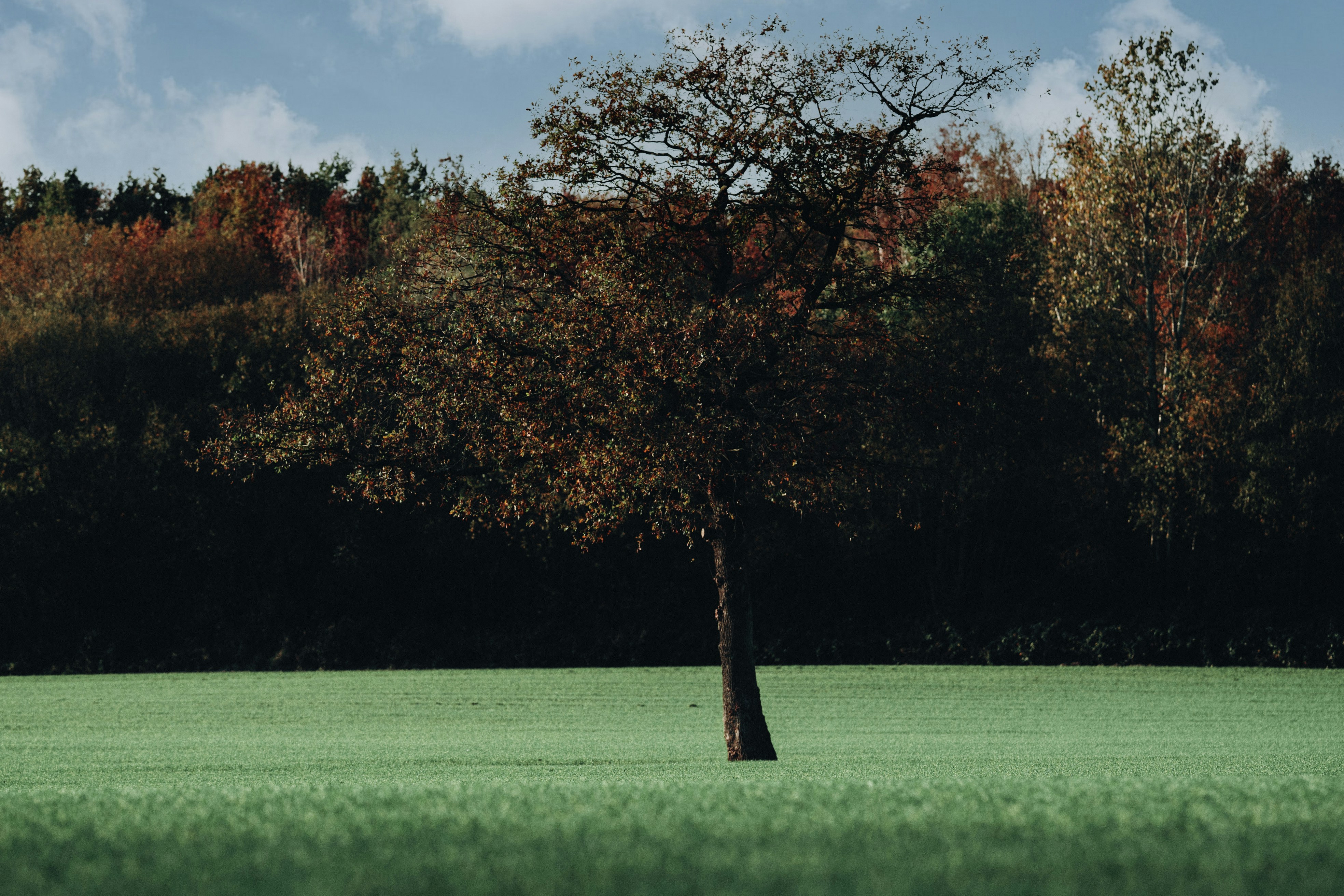 Photo by omarvellous14