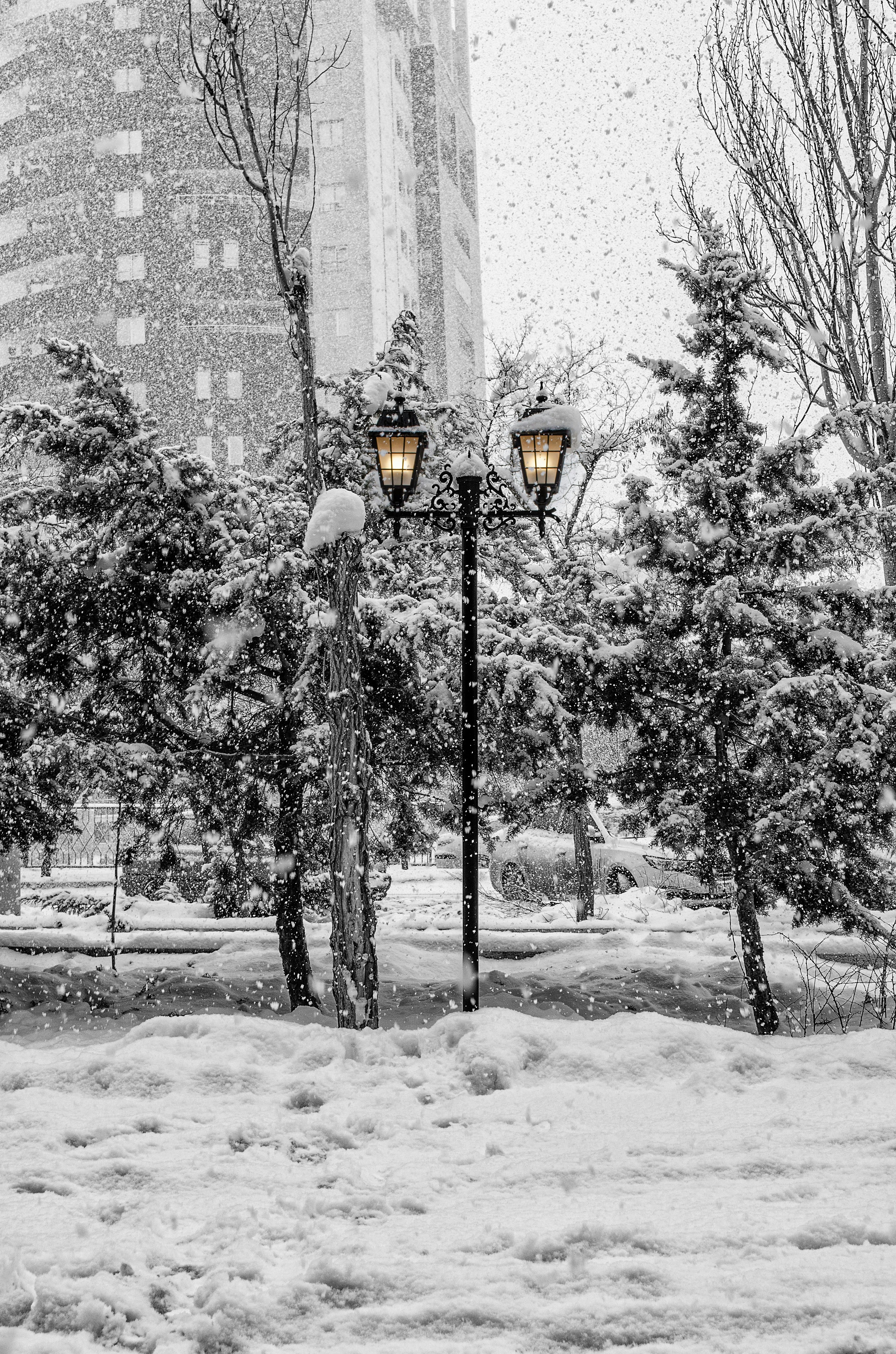 Photo by soheil_jalili