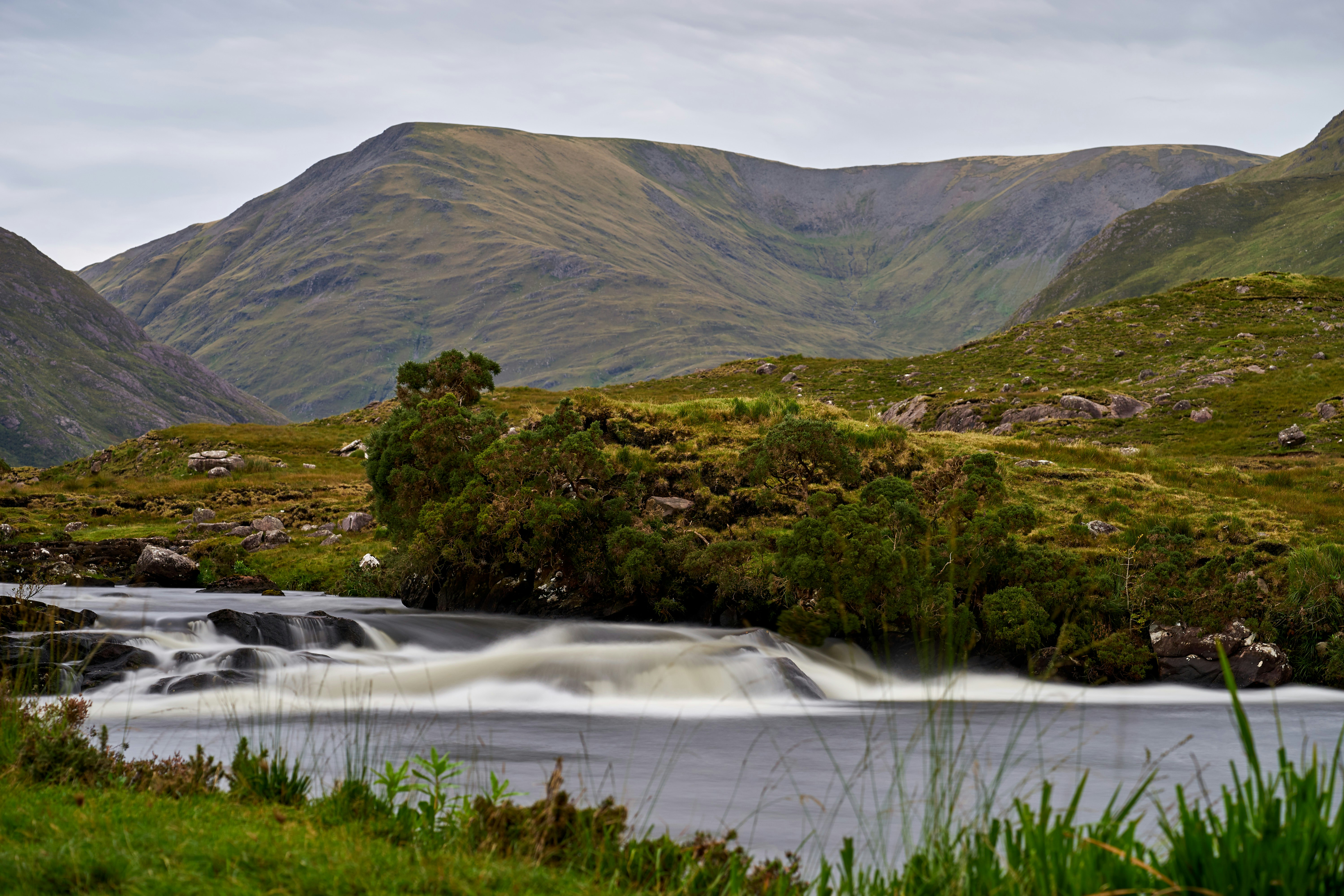 Photo by wolfgang_hasselmann