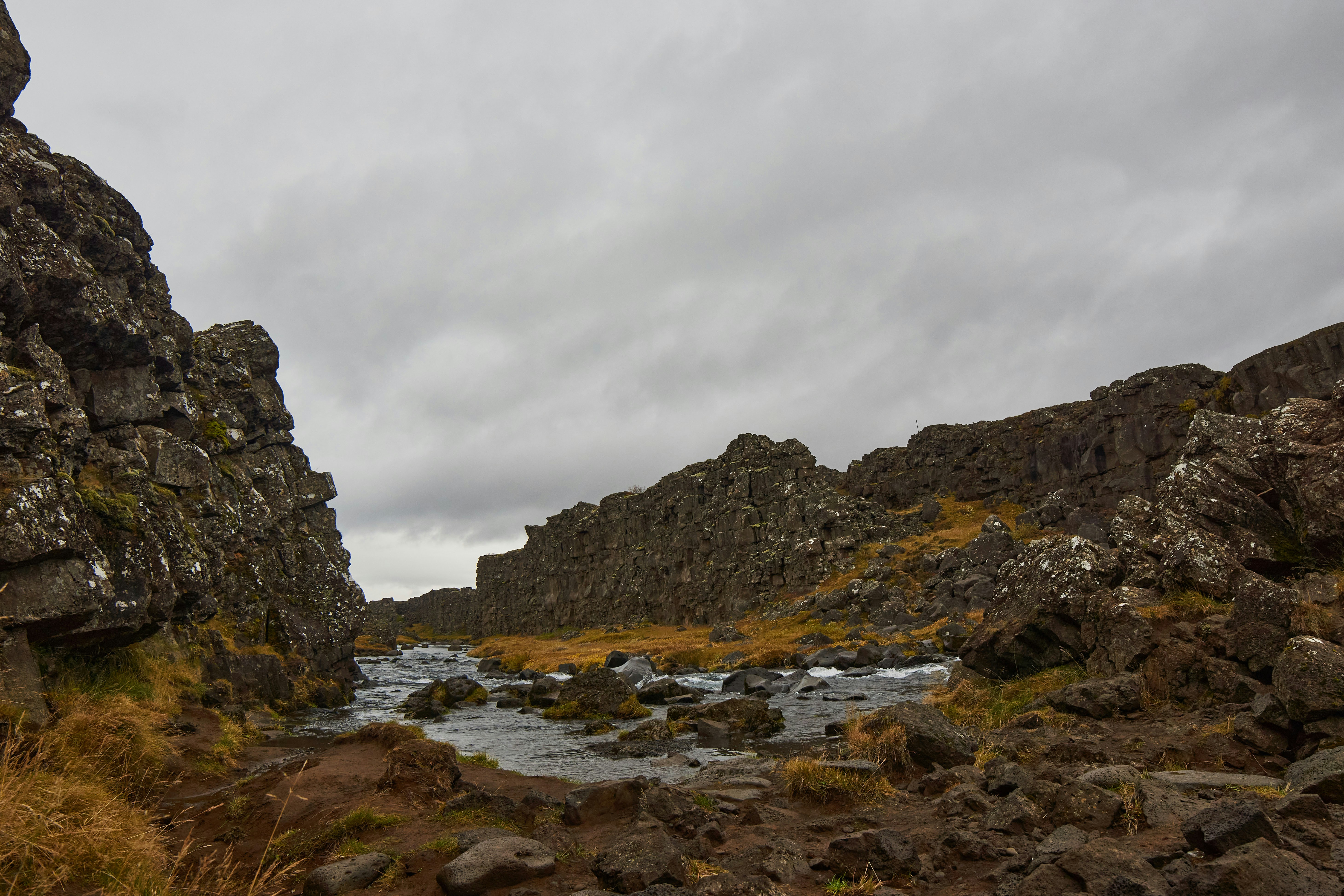 Photo by wolfgang_hasselmann