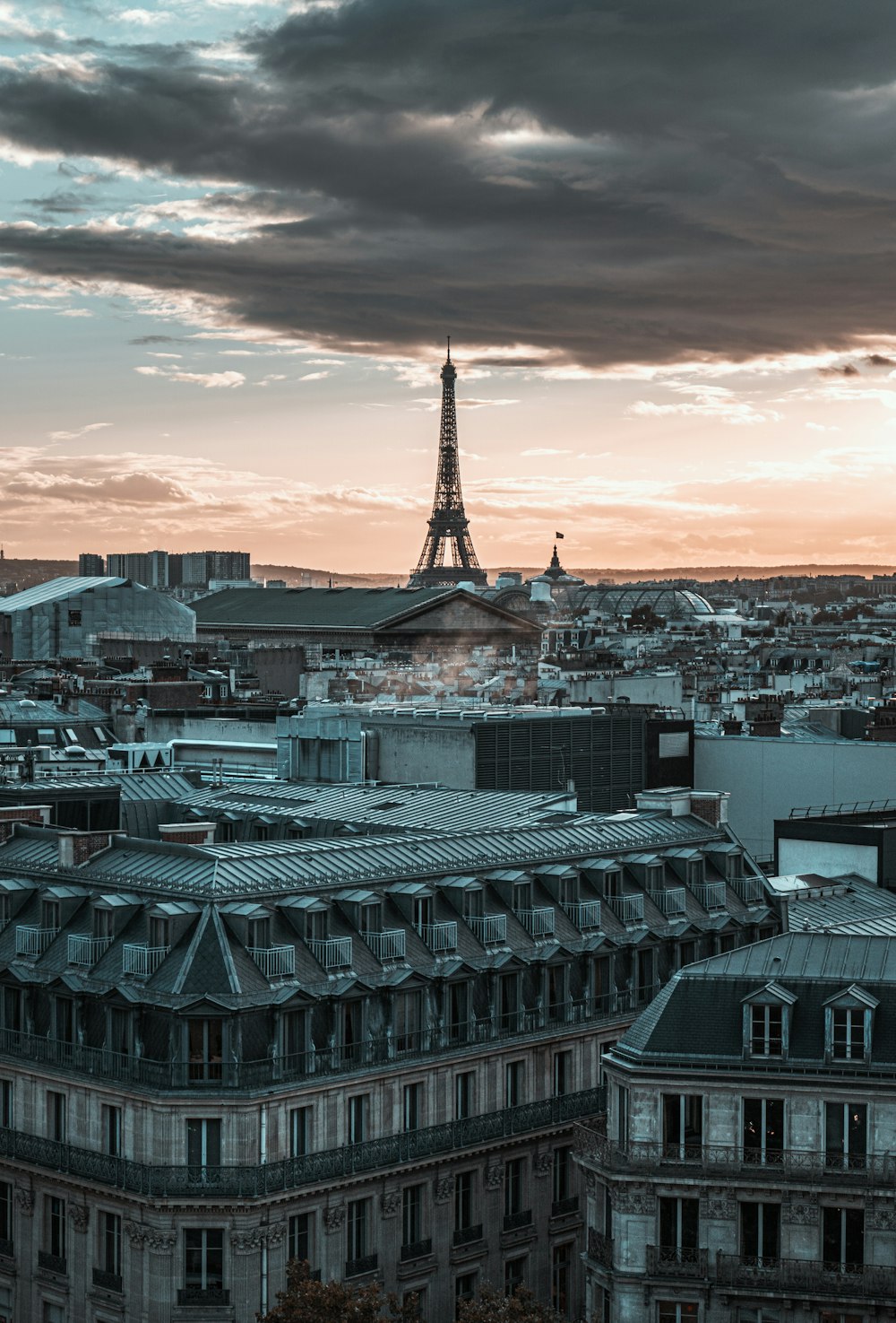 the eiffel tower towering over the city of paris